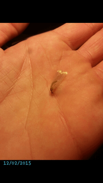 post-836229-0-26520100-1423812434_thumb.png