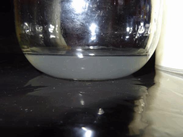 Culture Organique# Sérum de lactobacille W - copie.jpg