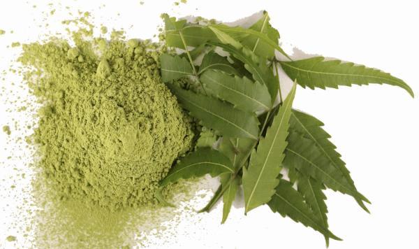 Poudre de Neem.jpg