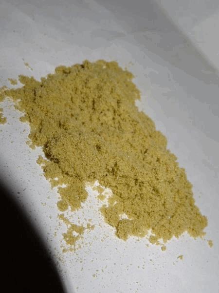 Extraction seche #391.jpg