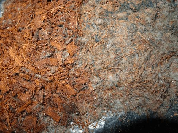 Culture Organique# Bokashi Activateur Enrichi (GroKashi) 4.jpg