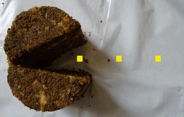 Culture Organique# Test Bokashi 8.jpg