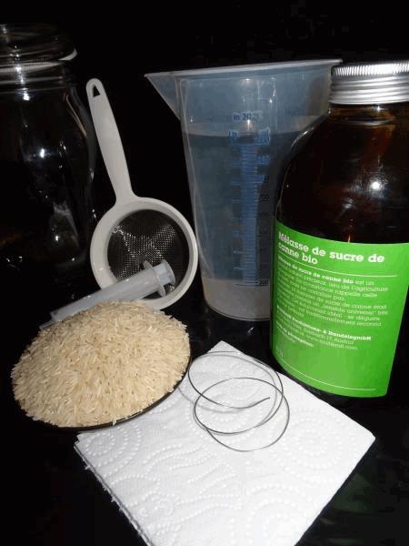 Culture Organique# Sérum de lactobacille A.jpg