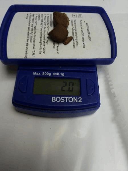 2g.jpg