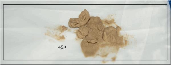 6 posé sur tamis 45µ A.jpg
