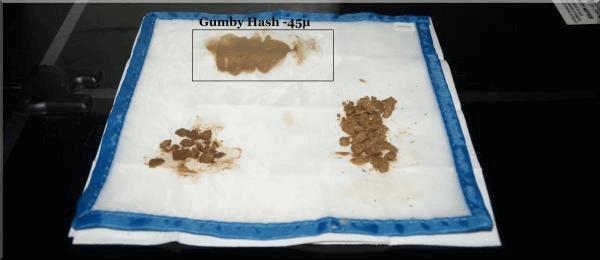 7 Séchage sur tapis chauffant + gumby A.jpg