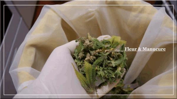 3 fleur &amp; manucure A.jpg