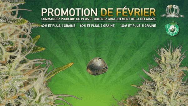FR_FEB_PROMO_2015_FB(1).jpg