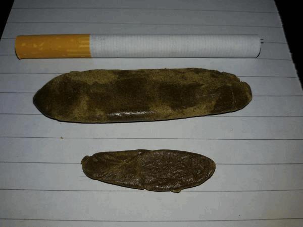 20170212_171317.jpg