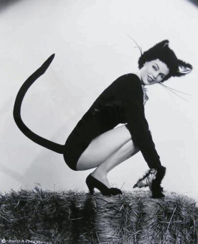 black-cat-catwoman-costume-dusty-anderson-Favim.com-230107.jpg