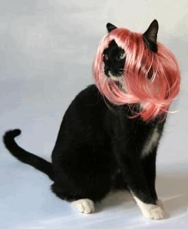 Pink Bobcat-cat 2.JPG