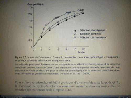 5 - Shéma Résolution de l'écran.JPG