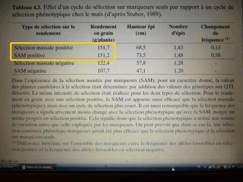 3 - Tableau Résolution de l'écran.JPG
