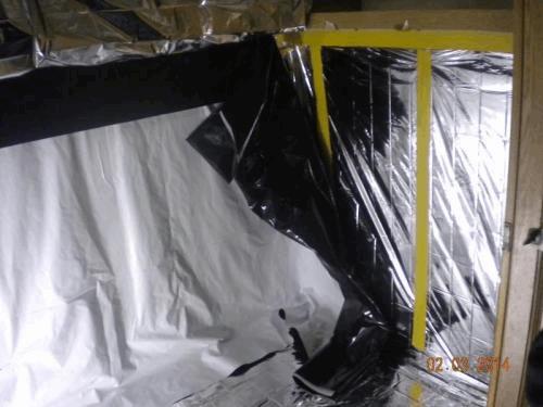 bach droit.JPG
