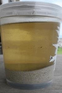 final-clam-9-200x300.jpg