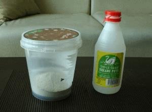 final-clam-7-300x222.jpg