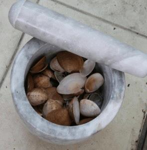 final-clam-2-295x300.jpg