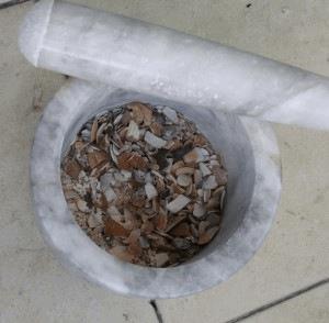 final-clam-3-300x294.jpg