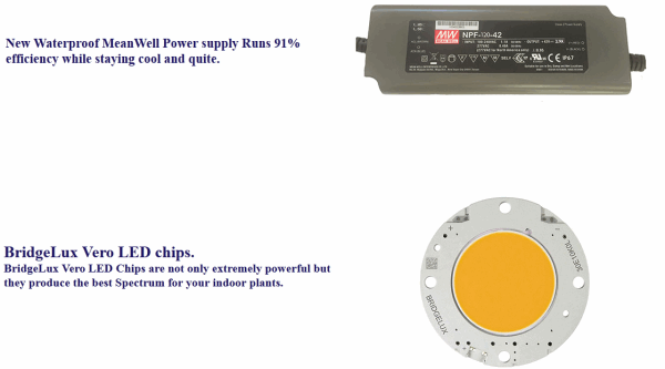 opticgrowlight.png