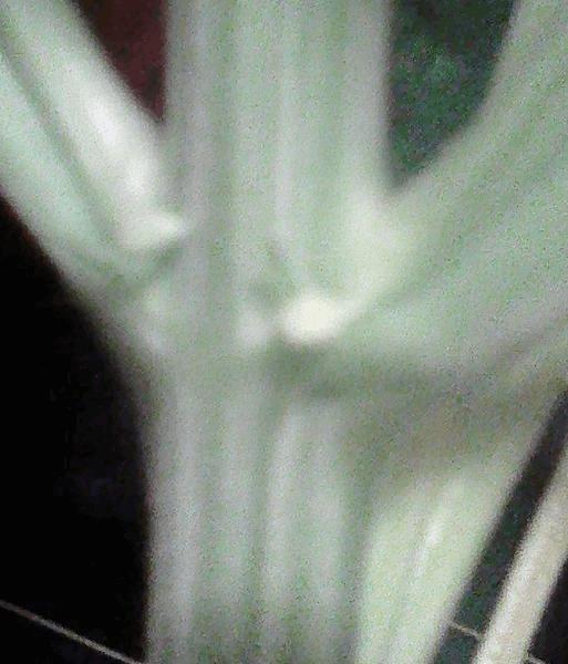 post-863042-0-43851900-1489505036_thumb.jpg