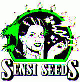SSB-logo.gif