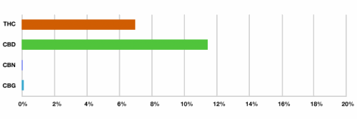 report-cbd-outdoor-mix.png