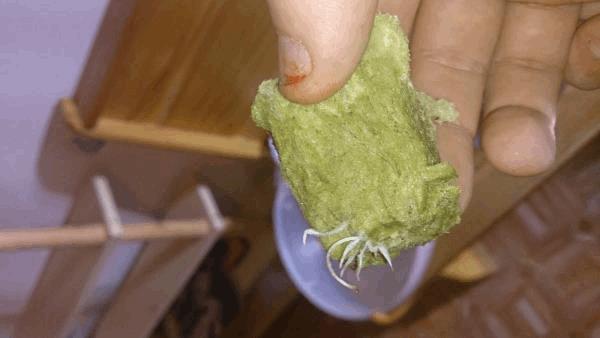 post-804473-0-10042600-1396818232_thumb.jpg