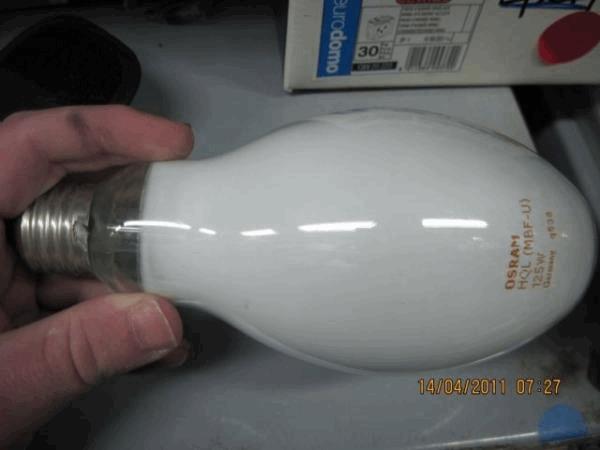 normal_IMG_0105.jpg