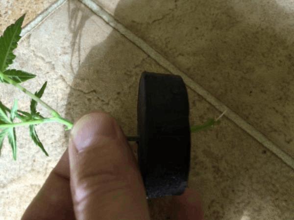 post-840701-0-16210300-1428435985_thumb.jpg