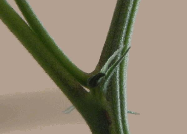 DSCN3691.jpg