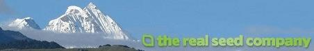 the real seed.JPG