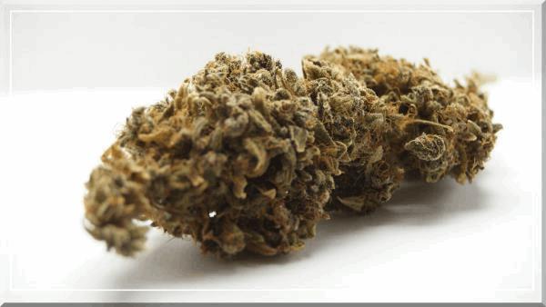 Congo (ace seeds) curing+60.jpg
