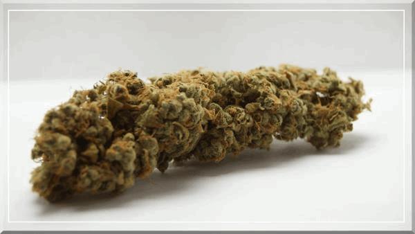 Tangie (reserva privada) curing+60.jpg