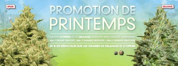 FR_APR_PROMO_2016_FB.jpg