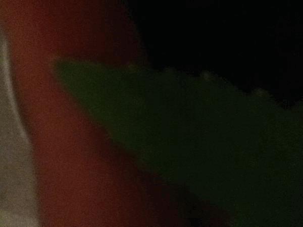 post-854058-0-55793800-1461107908_thumb.jpg