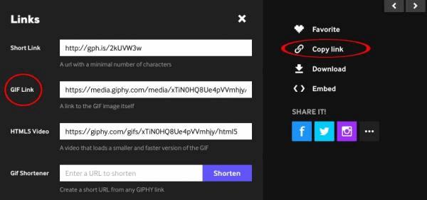 giphy.jpg