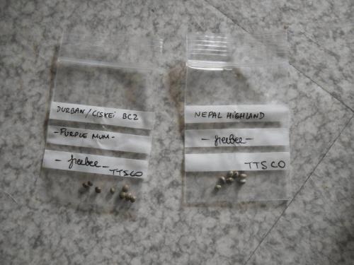 DSCN14421.jpg