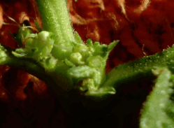 post-711217-0-30118500-1337195129_thumb.png