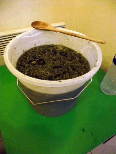 DSCF6281.JPG
