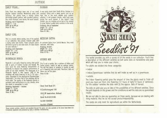 sensissed91.jpg