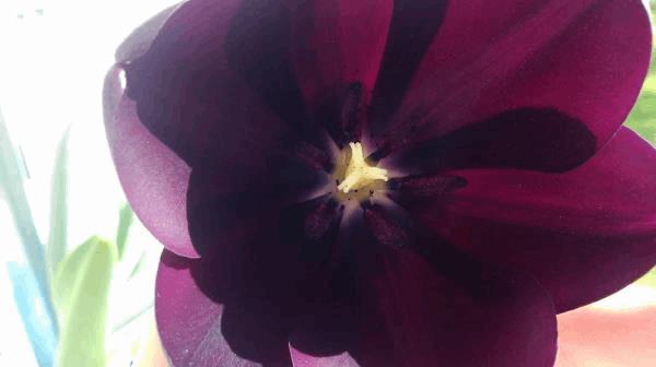 IMAG2013.jpg