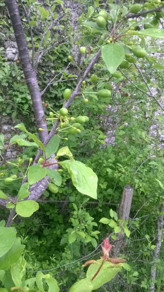 WP_20160511_024.jpg