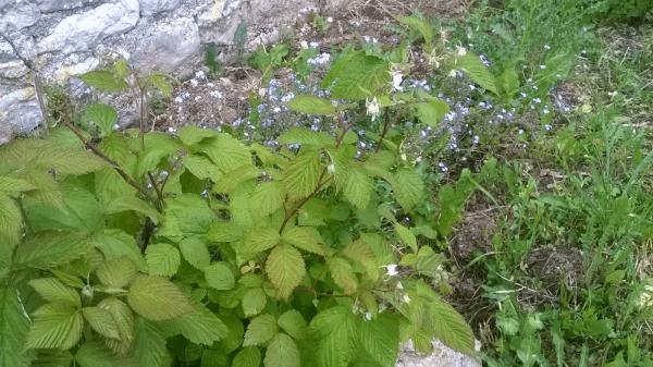 WP_20160511_026.jpg