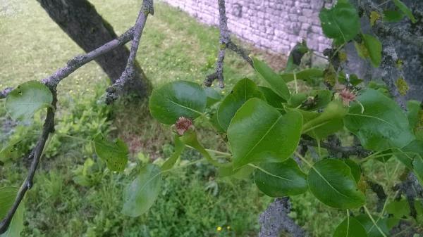 WP_20160511_022.jpg