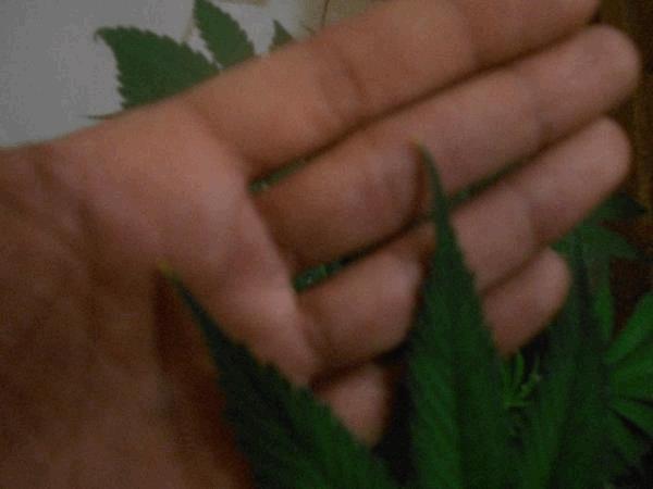 post-719692-0-21353100-1493918908_thumb.jpg