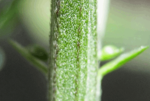 post-791993-0-55830000-1371394830_thumb.png