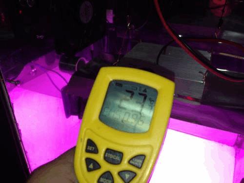 post-802977-0-90129300-1370767658_thumb.jpg