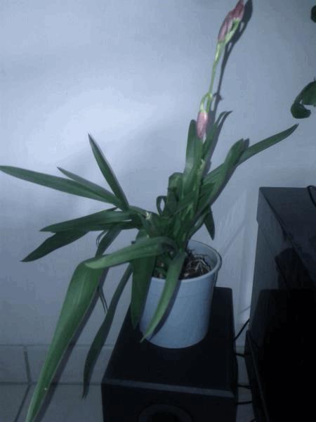 IMG_20140607_095855.jpg