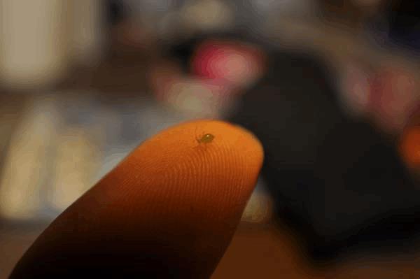 post-717798-0-87857300-1434549585_thumb.jpg