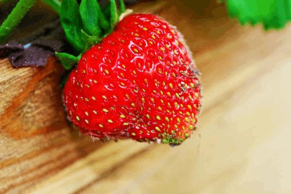 fraise.JPG